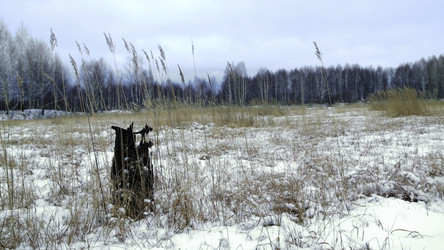 Similar image 22461857