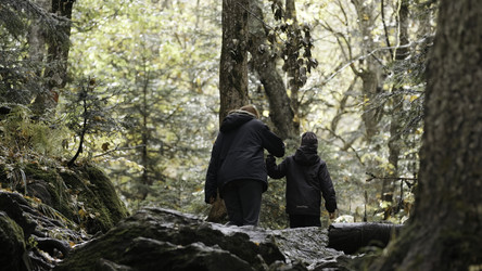 Similar image 22462492