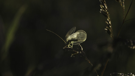 Similar image 22462628