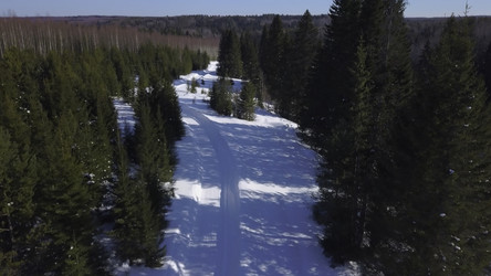 Similar image 22462644