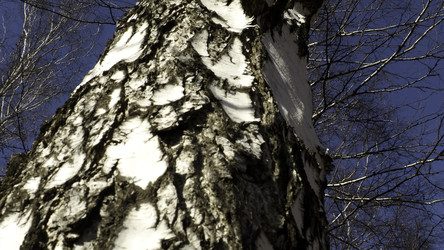 Similar image 22462735