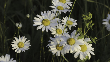 Similar image 22463153