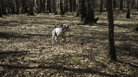 Similar image 22463675