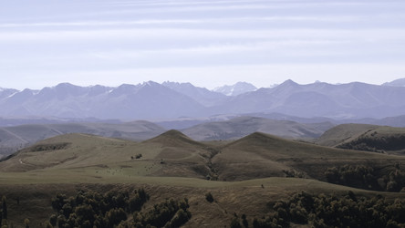 Similar image 22463844