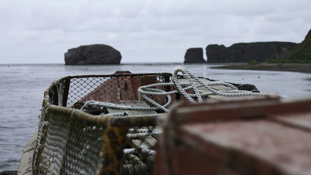 Similar image 22463902