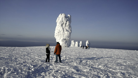 Similar image 22463976