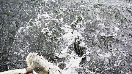 Similar image 22461346