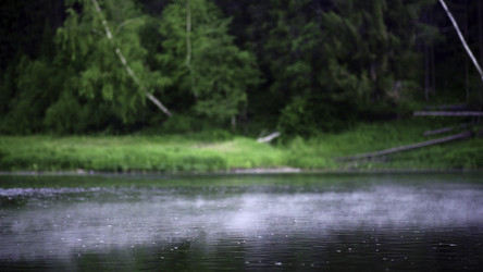 Similar image 22461437