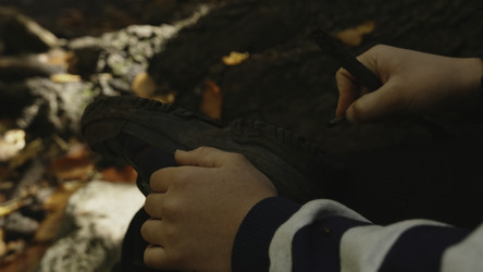 Similar image 22461496