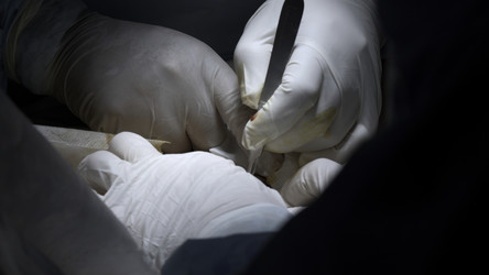 Similar image 22461616