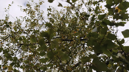 Similar image 22461617