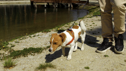 Similar image 22461693