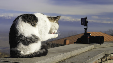 Similar image 22461754