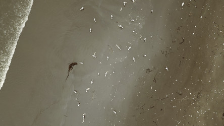 Similar image 22461812