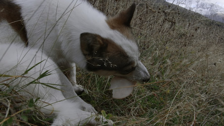 Similar image 22462148