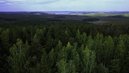 Similar image 22462283