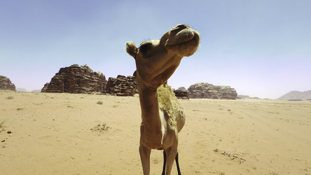 Similar image 22462330