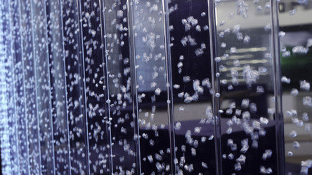 Similar image 22462525