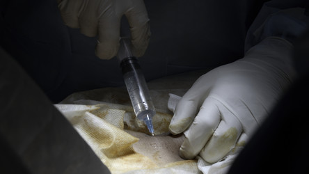 Similar image 22462569