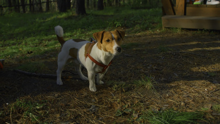 Similar image 22462691