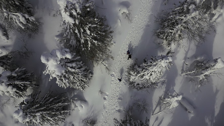 Similar image 22462720