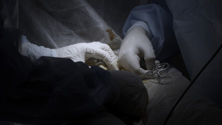 Similar image 22463542