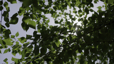 Similar image 22461439