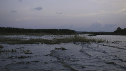 Similar image 22461452