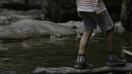 Similar image 22461513