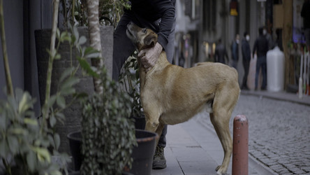 Similar image 22461557