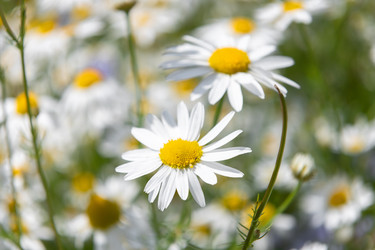 Similar image 22453995