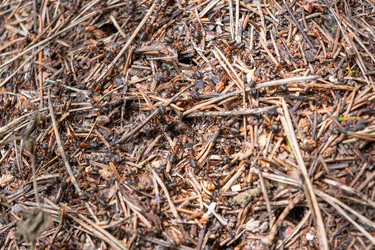 Similar image 22453999