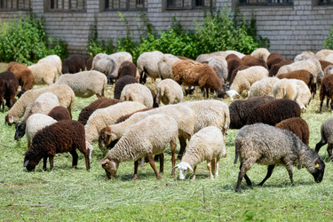 Similar image 22454003