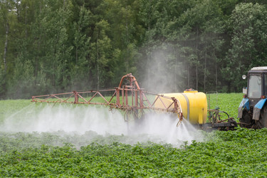 Similar image 22454010