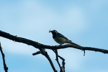 Similar image 22454027