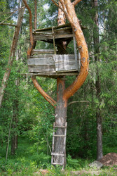 Similar image 22454028