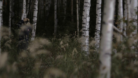 Similar image 22462269