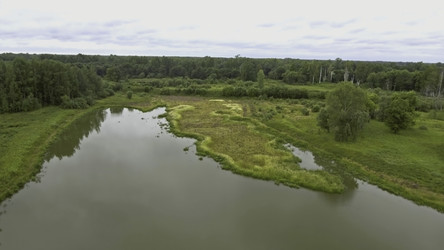 Similar image 22462466