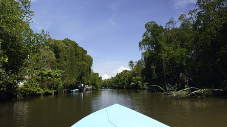 Similar image 22462509