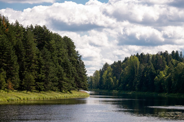 Similar image 22454041