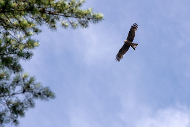 Similar image 22454048