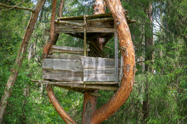 Similar image 22454060