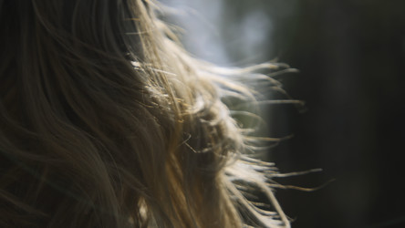 Similar image 22463225