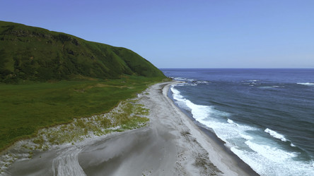 Similar image 22463303