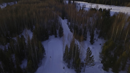 Similar image 22463574