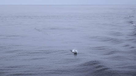 Similar image 22461482