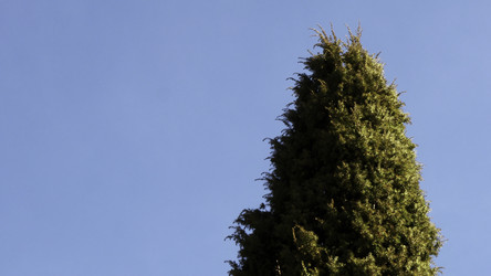 Similar image 22461665