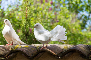 Similar image 22454095