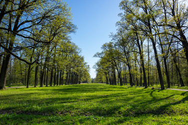 Similar image 22454108