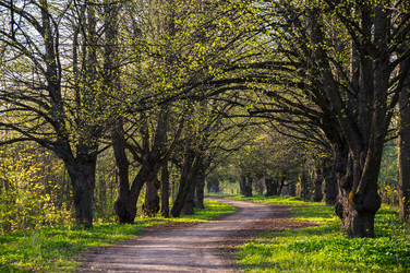 Similar image 22454122